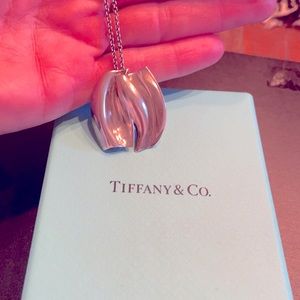Tiffany & Co. Frank Gerry collection necklace.